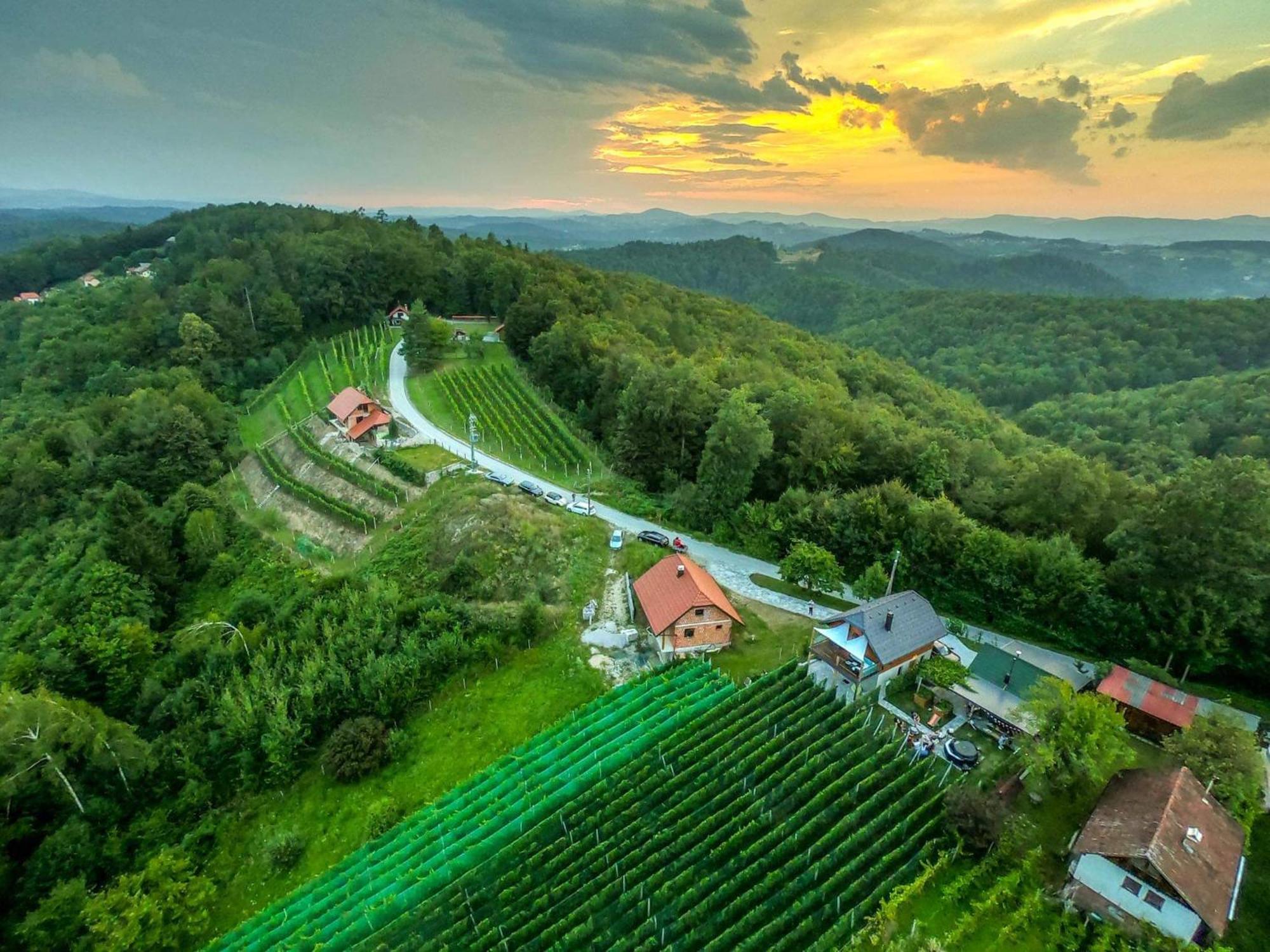 Vineyard Cottage Matej Trebnje Exterior foto