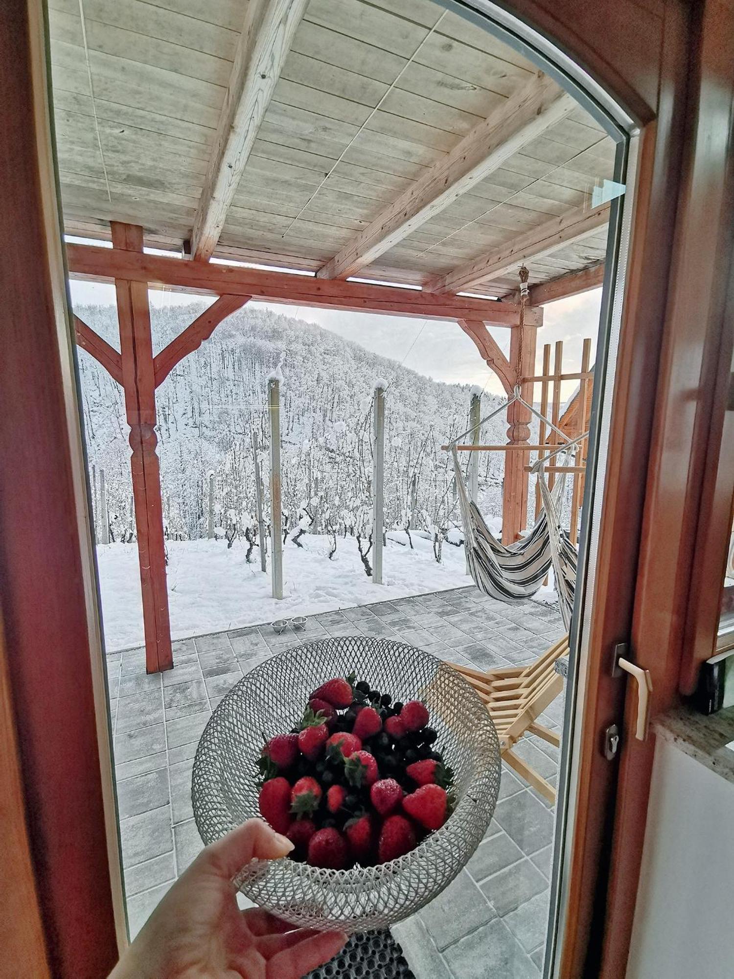 Vineyard Cottage Matej Trebnje Exterior foto
